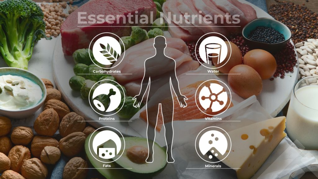 Essential nutrients uk
