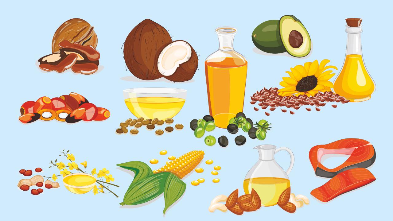 Fats: Why Are They an Essential Part of Your Diet