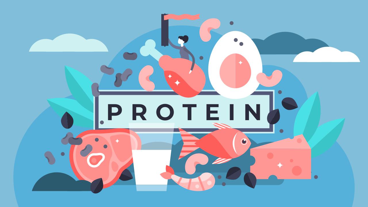 Protein: Everything You Need to Know