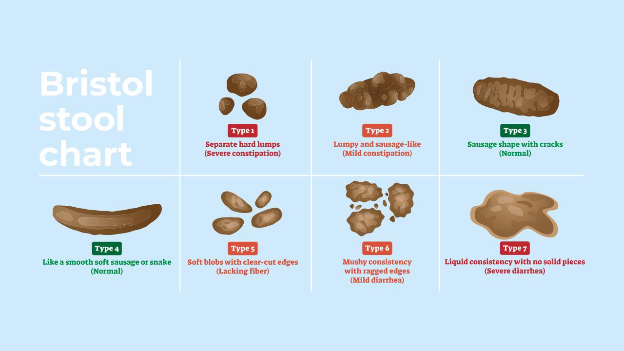 What Does Your Poop Say About Your Health? | Fitpage