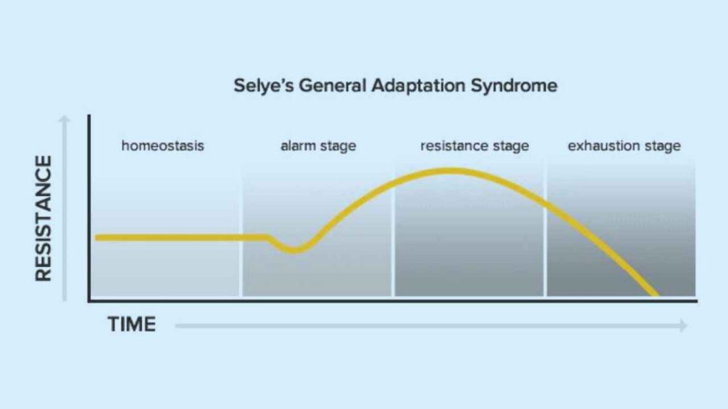 Graphical representation of Hans Selye’s General Adaptation Syndrome (GAS)