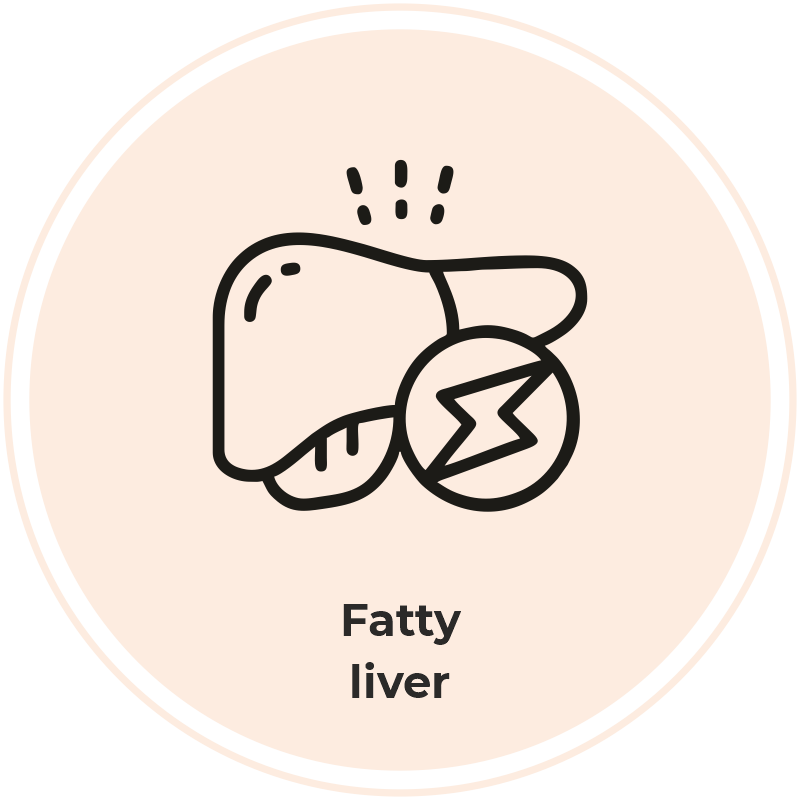 Consequences of obesity: Fatty liver