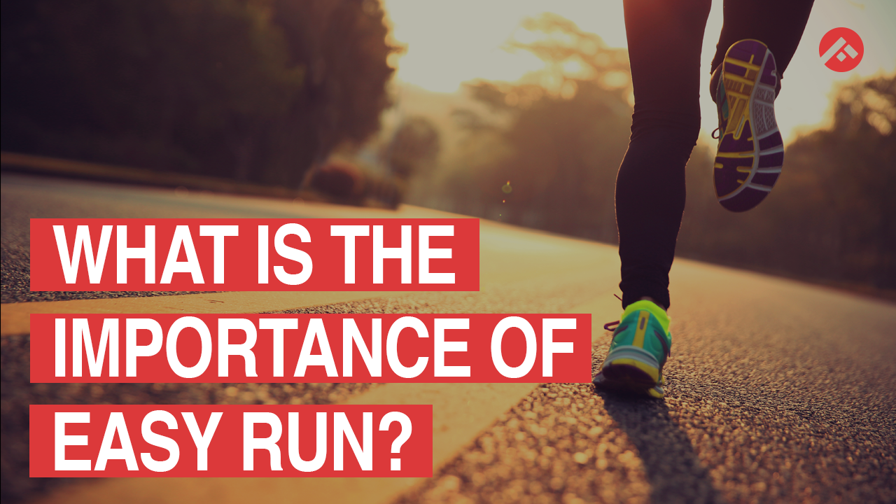 What is the Importance of Easy Run?