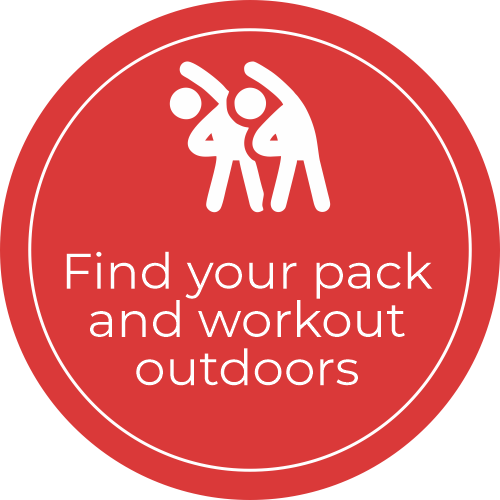 Tip to fight obesity: Find your pack and exercise outdoors